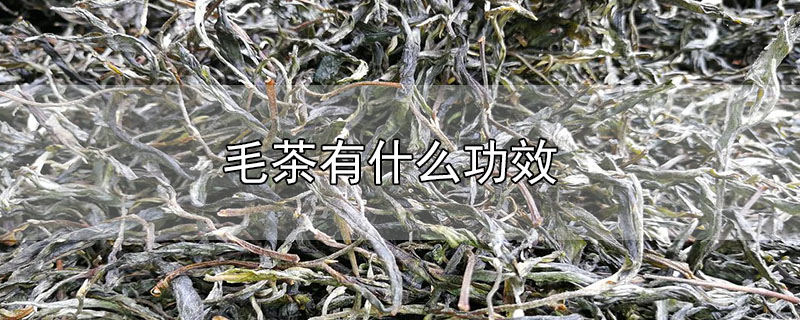 毛茶有什么功效