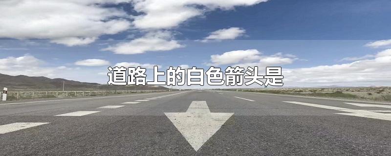 道路上的白色箭頭是